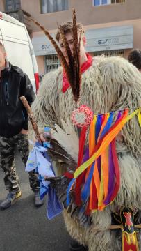 ED JEŽEVKA PTUJ - PUST 2023 (50)